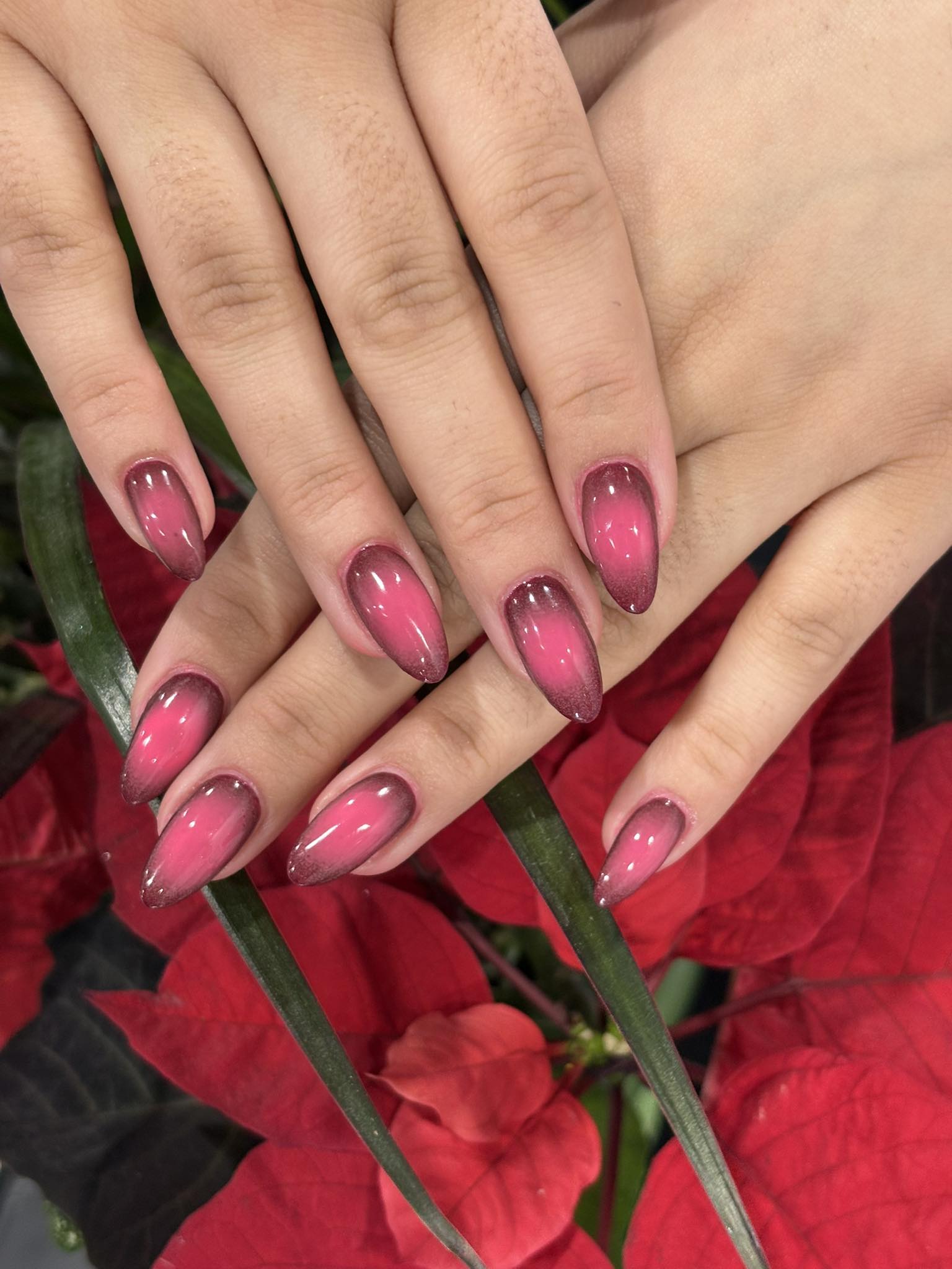 Sugar Nails